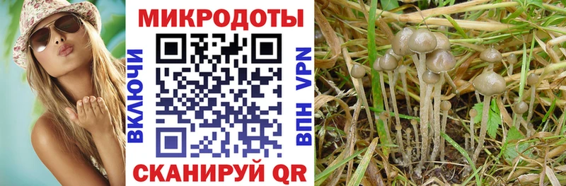 Галлюциногенные грибы прущие грибы  Купить  Иркутск 
